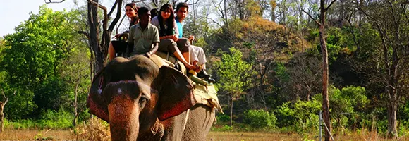 Jeep safari (Corbett)